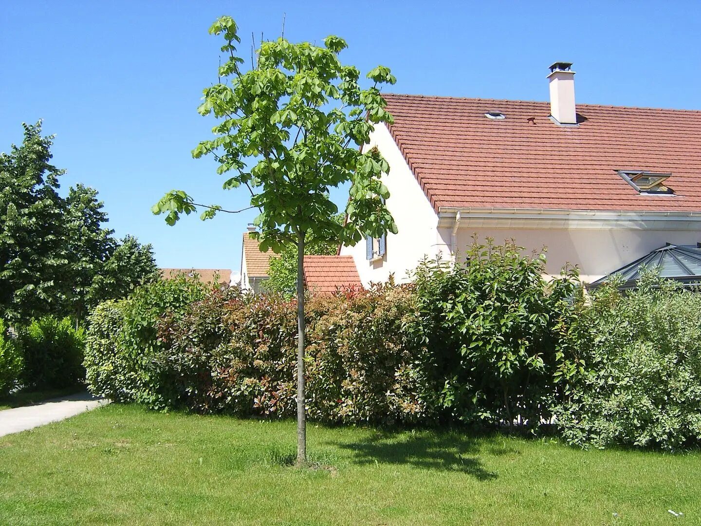 Maison à vendre, 165m², Le Coudray-Montceaux