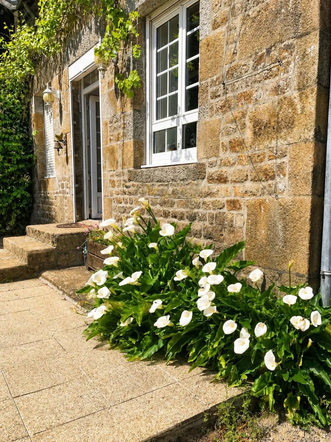 Maison à vendre, 300m², Saint-Michel-de-Montjoie