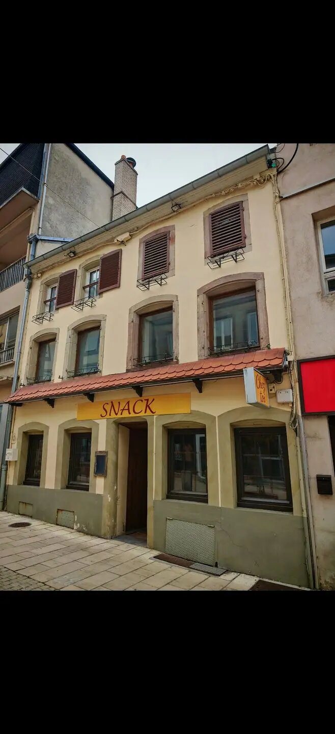 Maison à vendre, 345m², Sarrebourg
