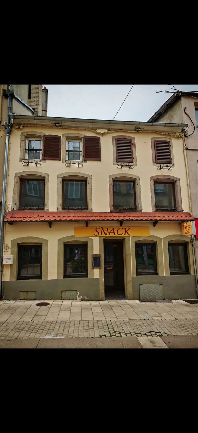 Maison à vendre, 345m², Sarrebourg
