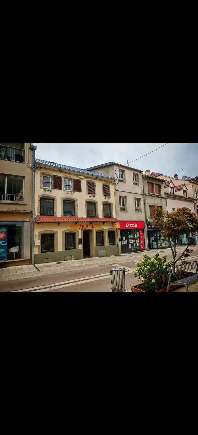 Maison à vendre, 345m², Sarrebourg