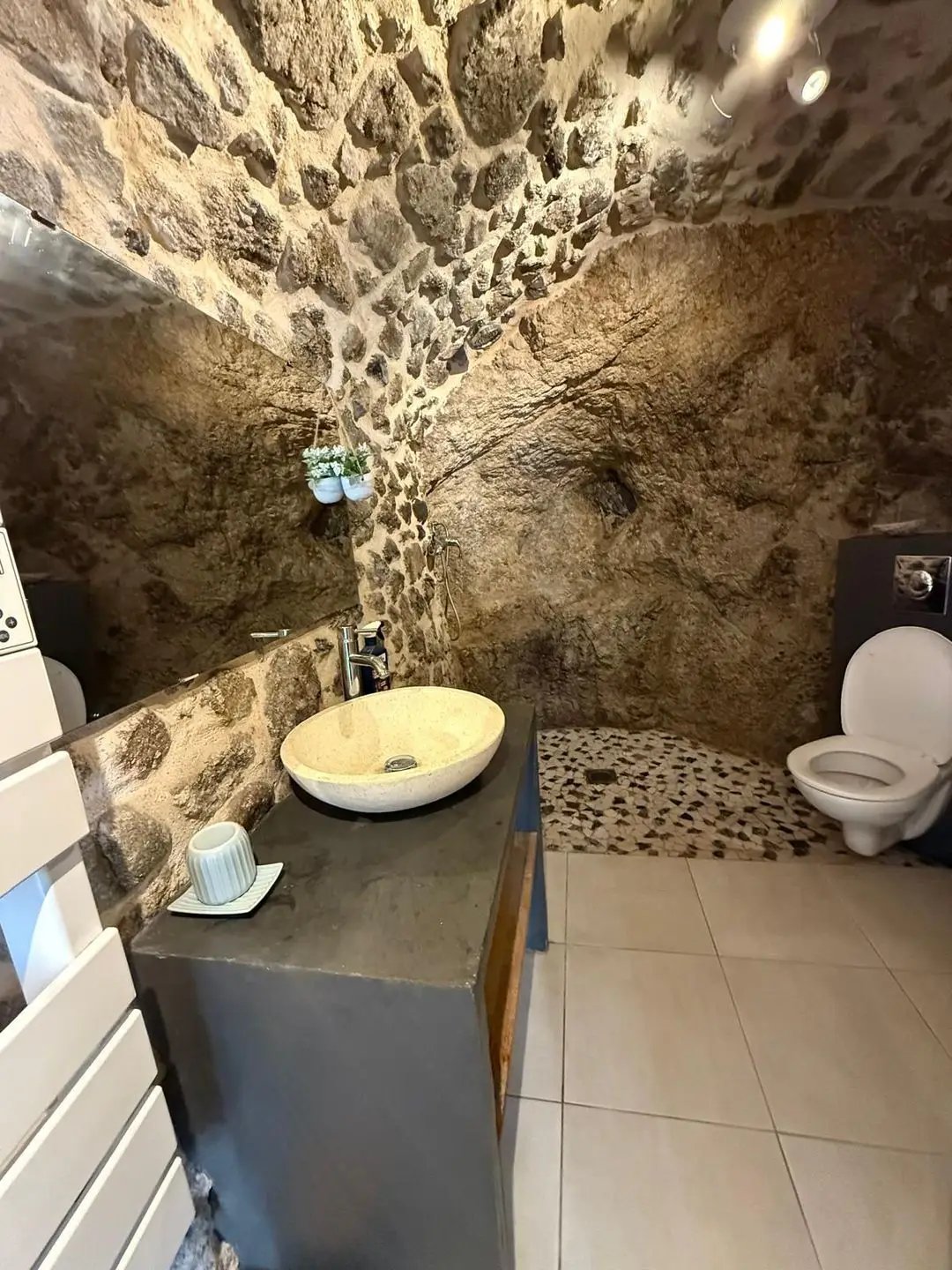Maison à louer, 53m², Condrieu