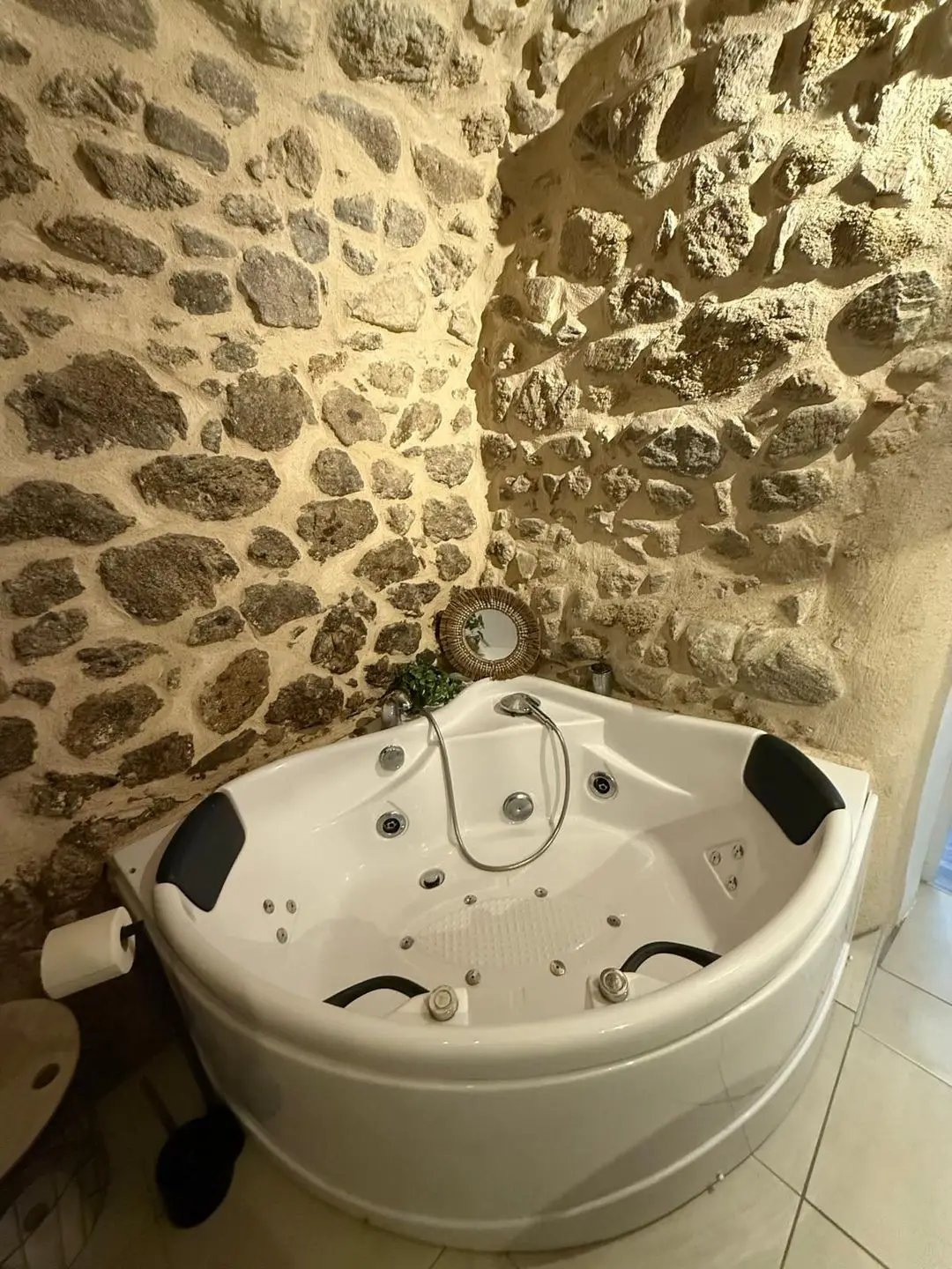 Maison à louer, 53m², Condrieu