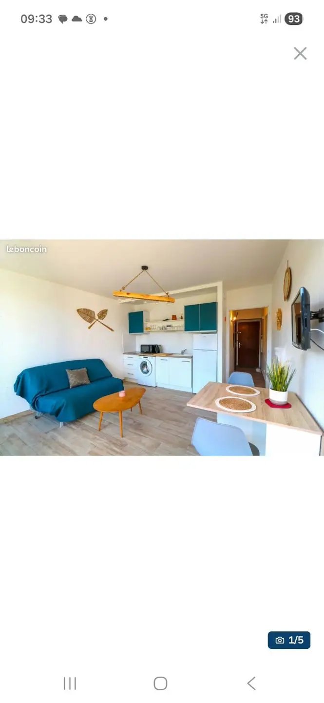 Appartement à louer, 27m², Saint-Cyprien