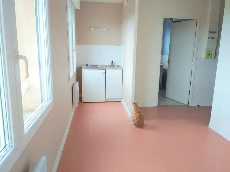 Appartement à louer, 23m², Pont-l'Abbé