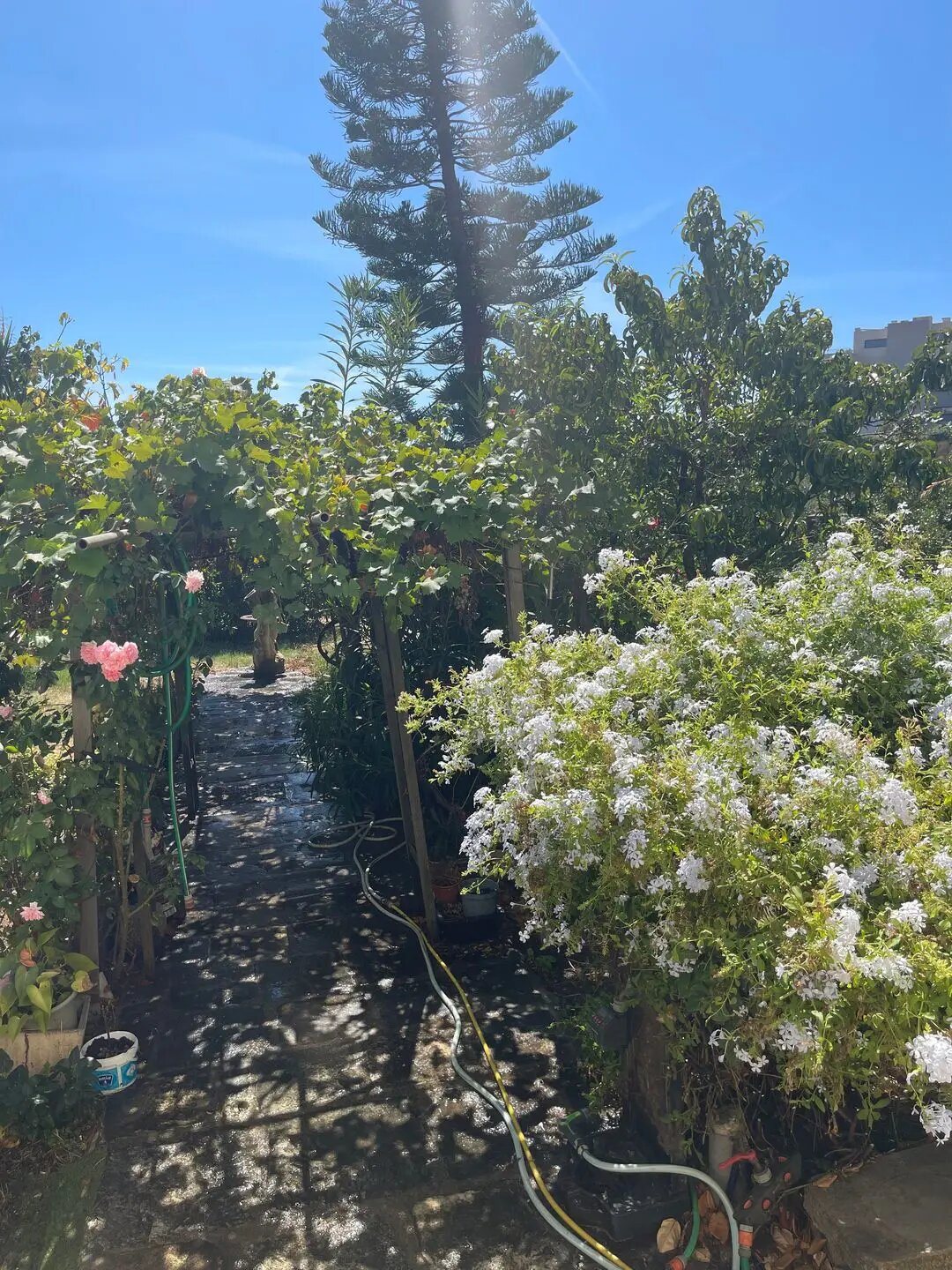 Appartement à vendre, 111m², Ajaccio
