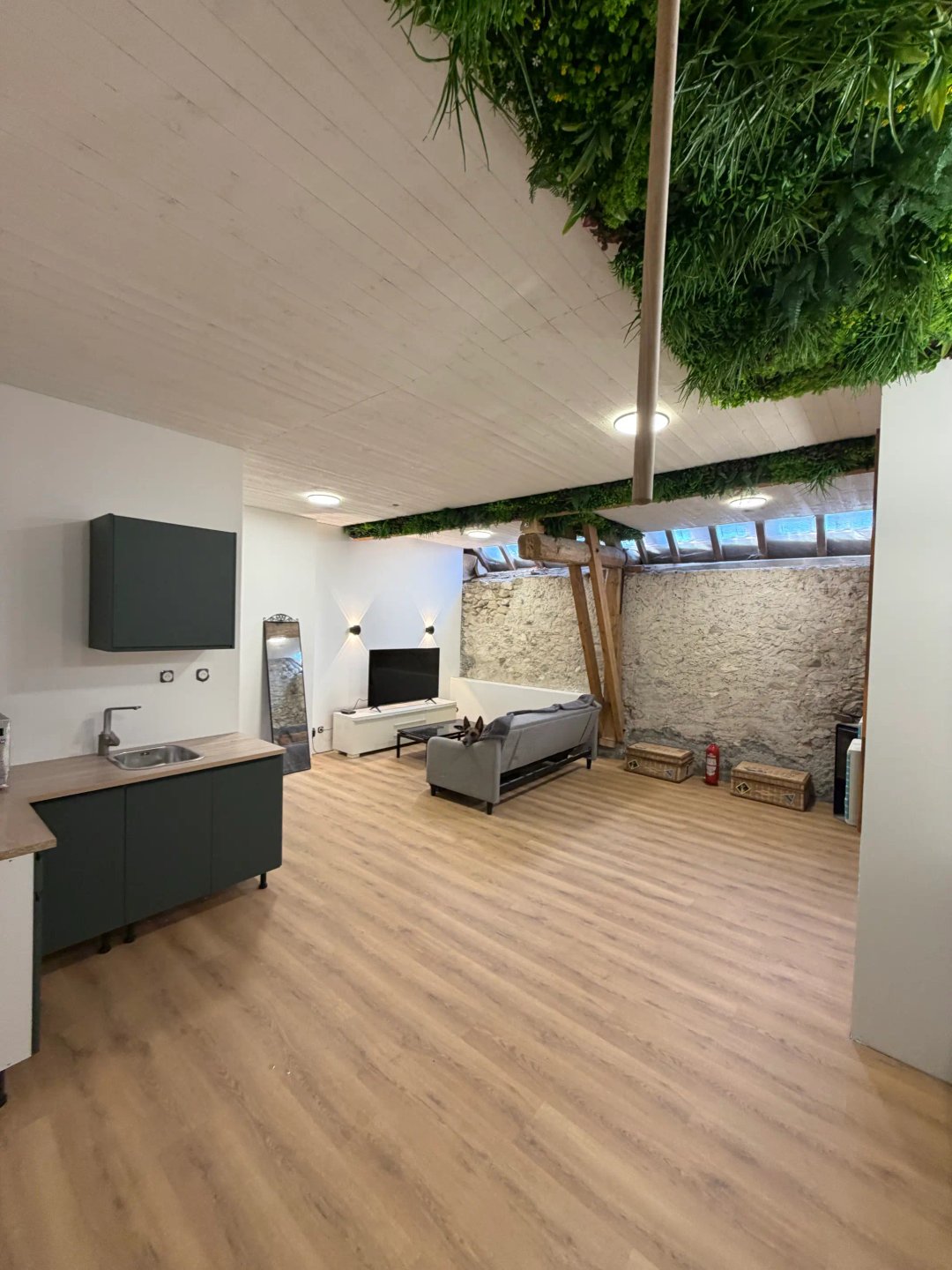Maison à vendre, 157m², La Balme-de-Sillingy