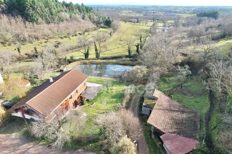 Maison à vendre, 220m², Renaison