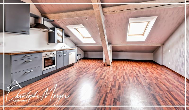 Appartement à louer, 49m², Sarrebourg