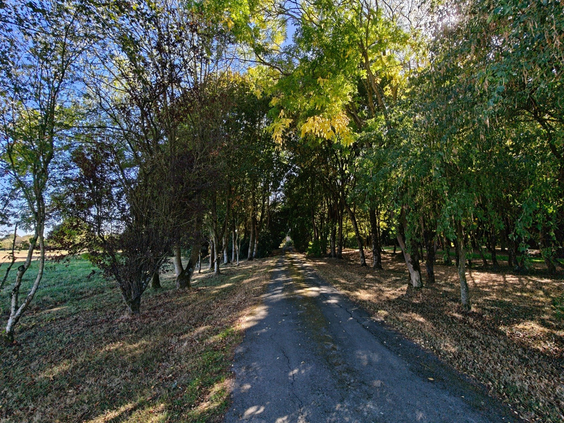 Maison à vendre, 130m², Montauban-de-Bretagne