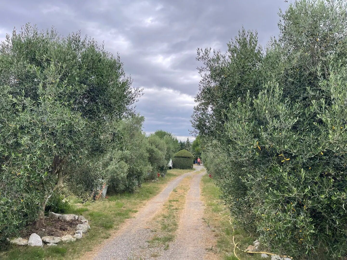 Maison à vendre, 90m², Mireval