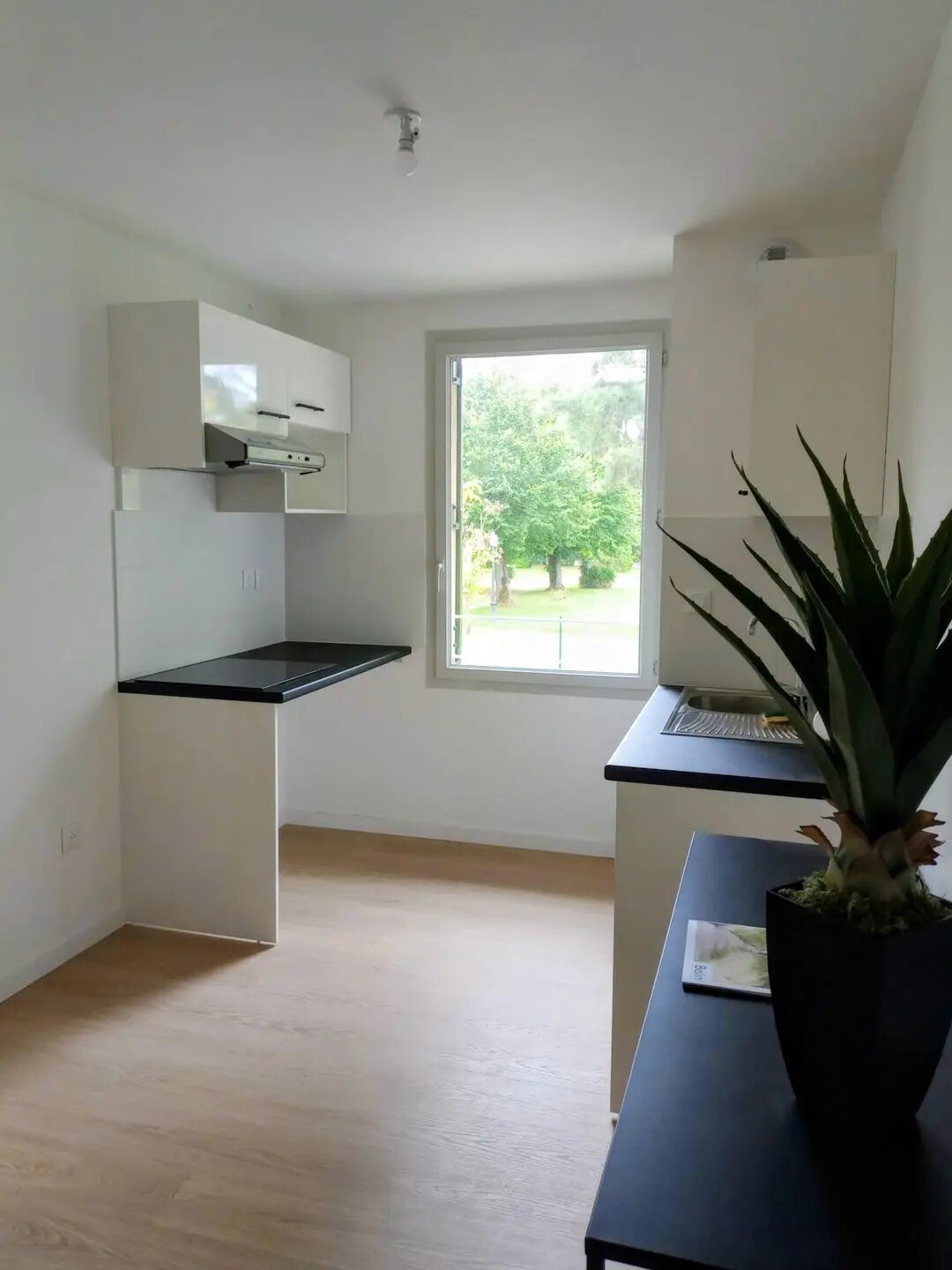 Appartement à vendre, 60m², Pompertuzat