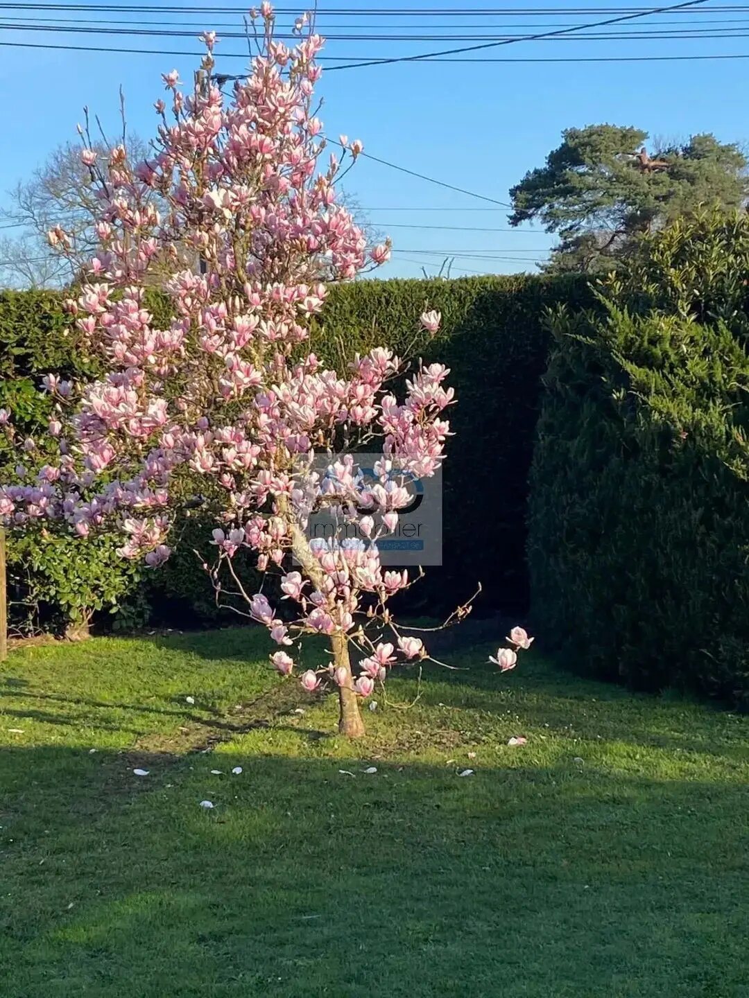 Maison à vendre, 132m², Biganos
