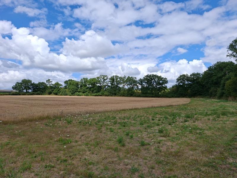 Maison à vendre, 118m², Javron-les-Chapelles