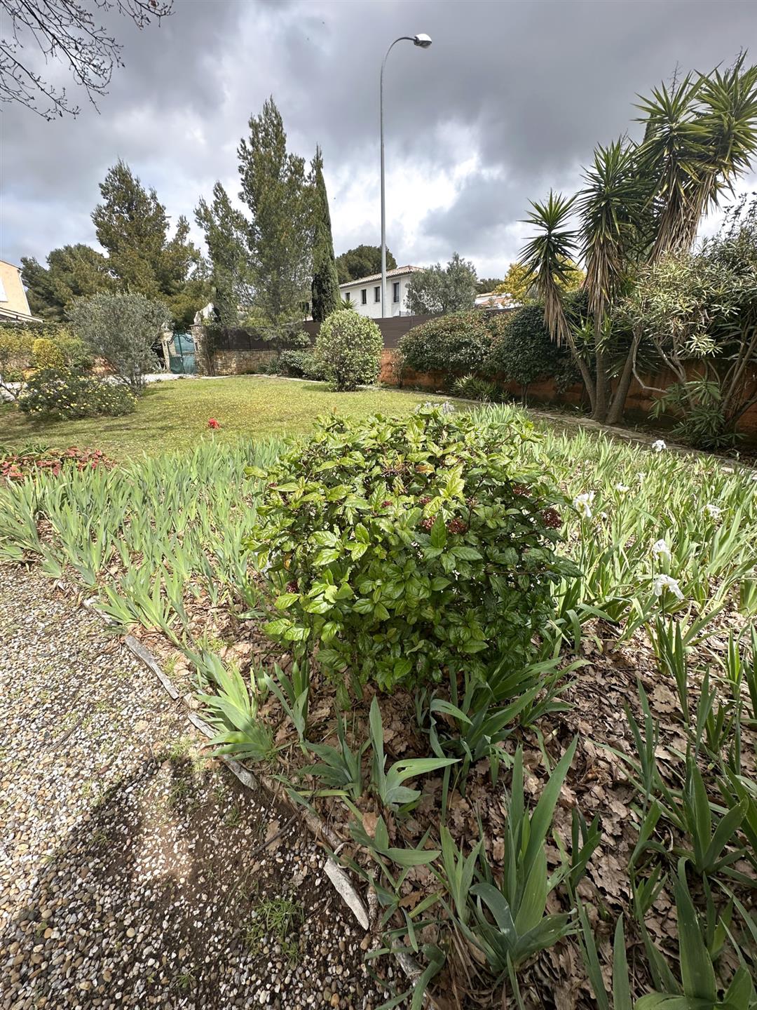 Maison à vendre, 100m², Sanary-sur-Mer