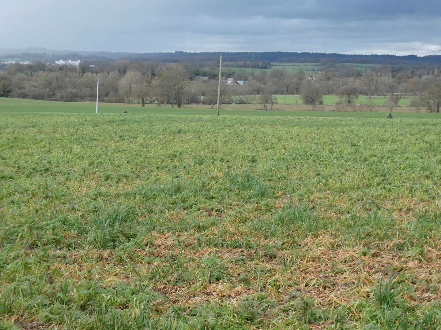 Maison à vendre, 68m², Thuboeuf