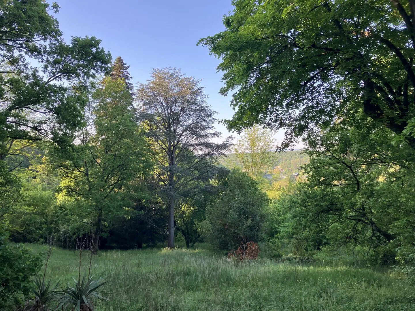 Maison à vendre, 206m², Charbonnières-les-Bains