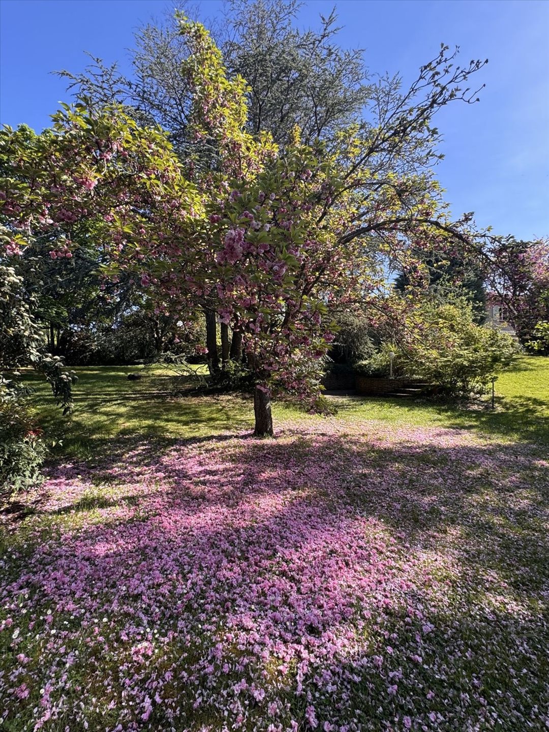 Maison à vendre, 200m², Sainte-Consorce