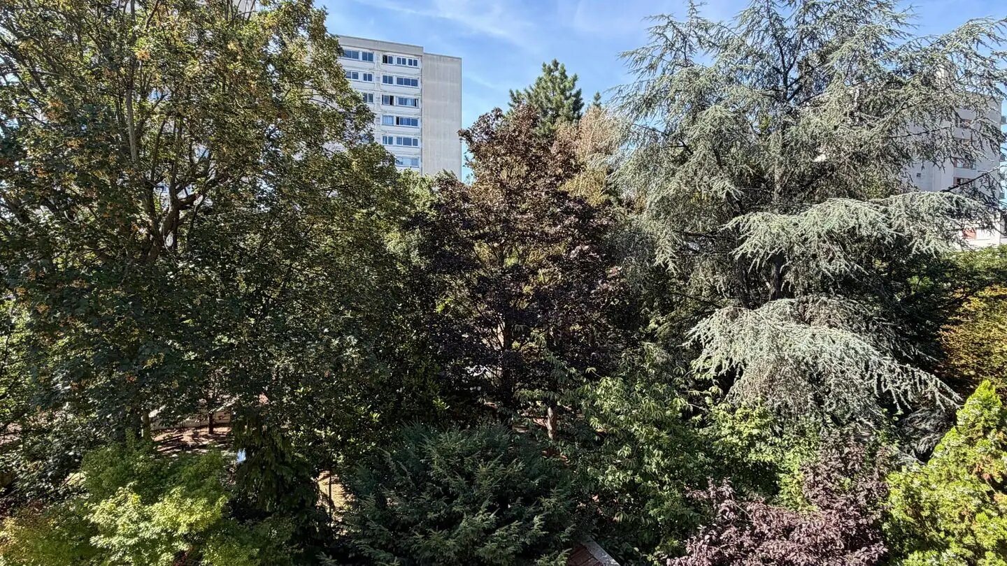 Appartement à vendre, 49m², Charenton-le-Pont