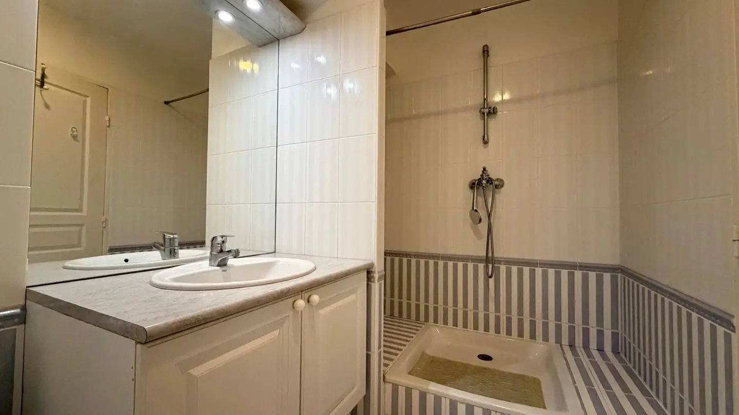 Appartement à vendre, 30m², Charenton-le-Pont