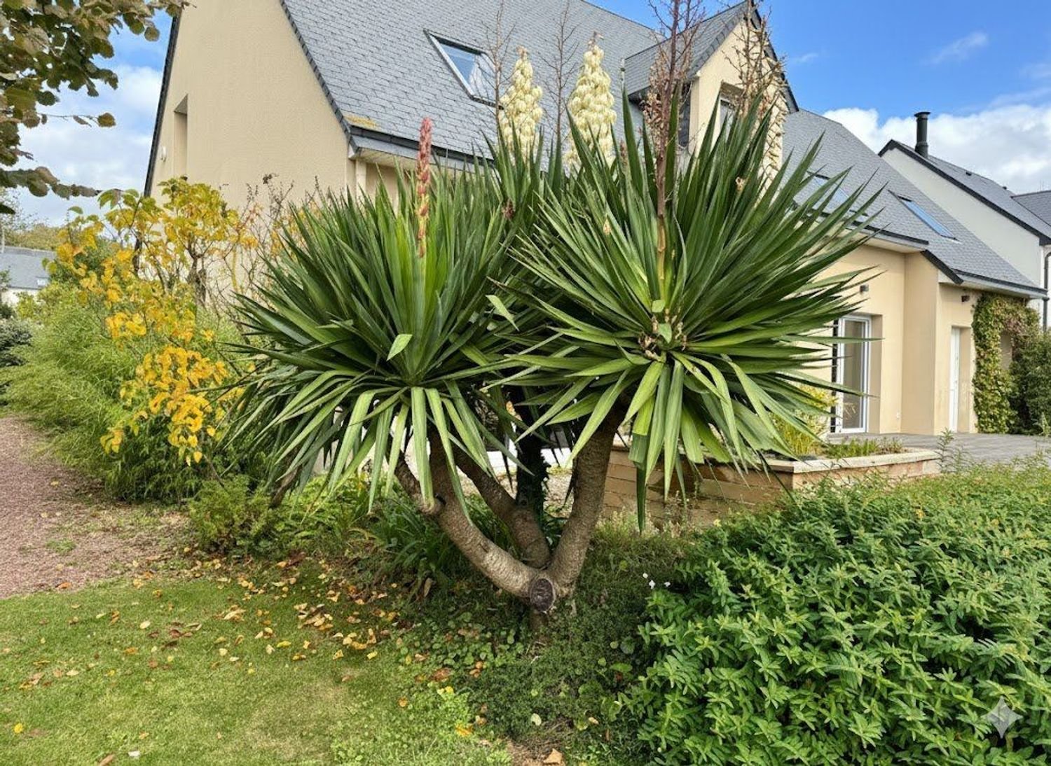 Maison à vendre, 160m², Saint-Jean-le-Thomas