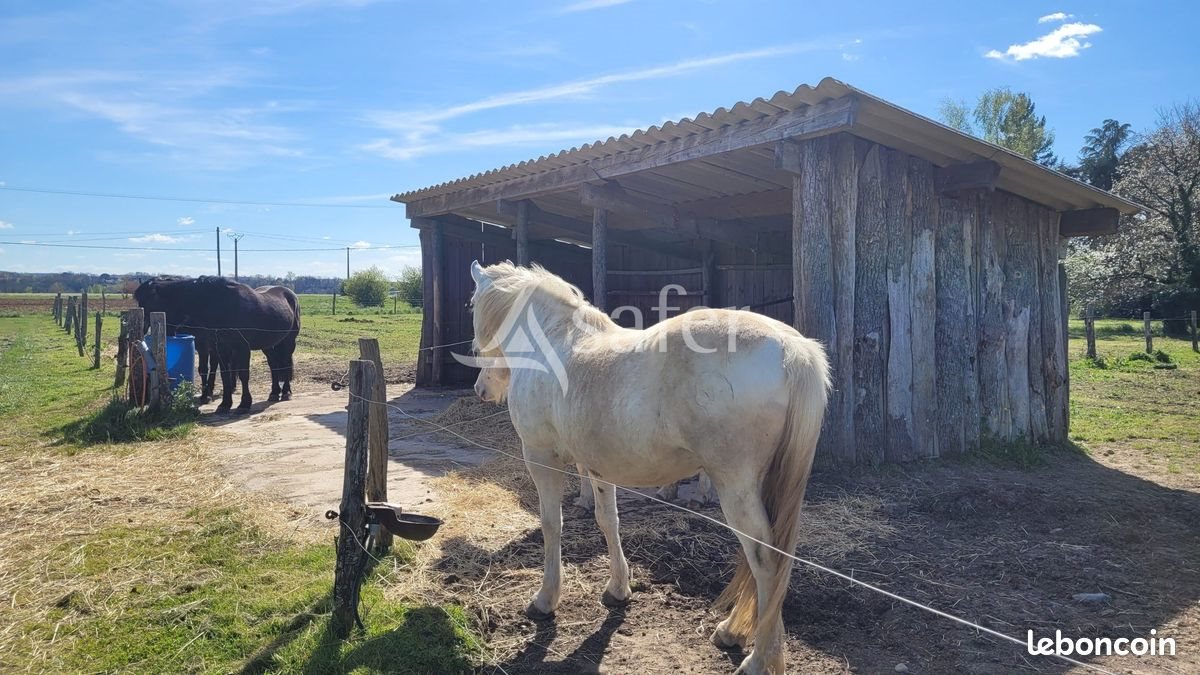 Maison à vendre, 115m², Gaillac