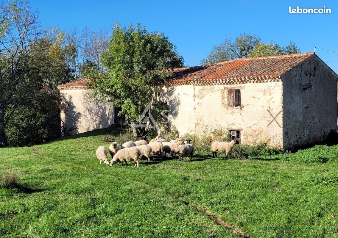 Maison à vendre, 100m², Castres
