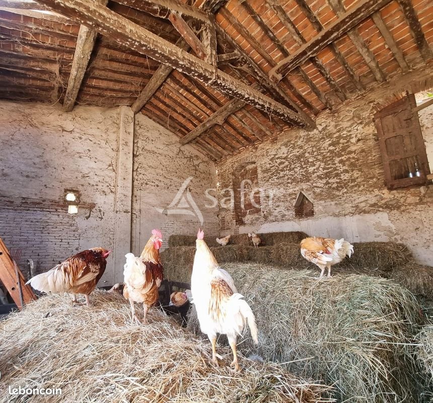 Maison à vendre, 135m², Brouilla