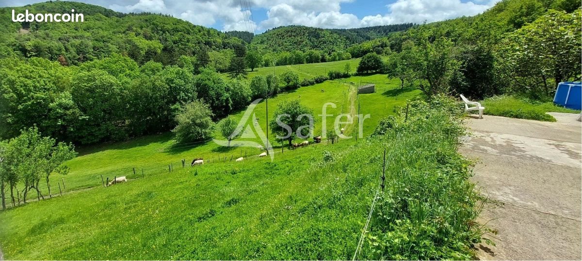 Maison à vendre, 312m², Limoux
