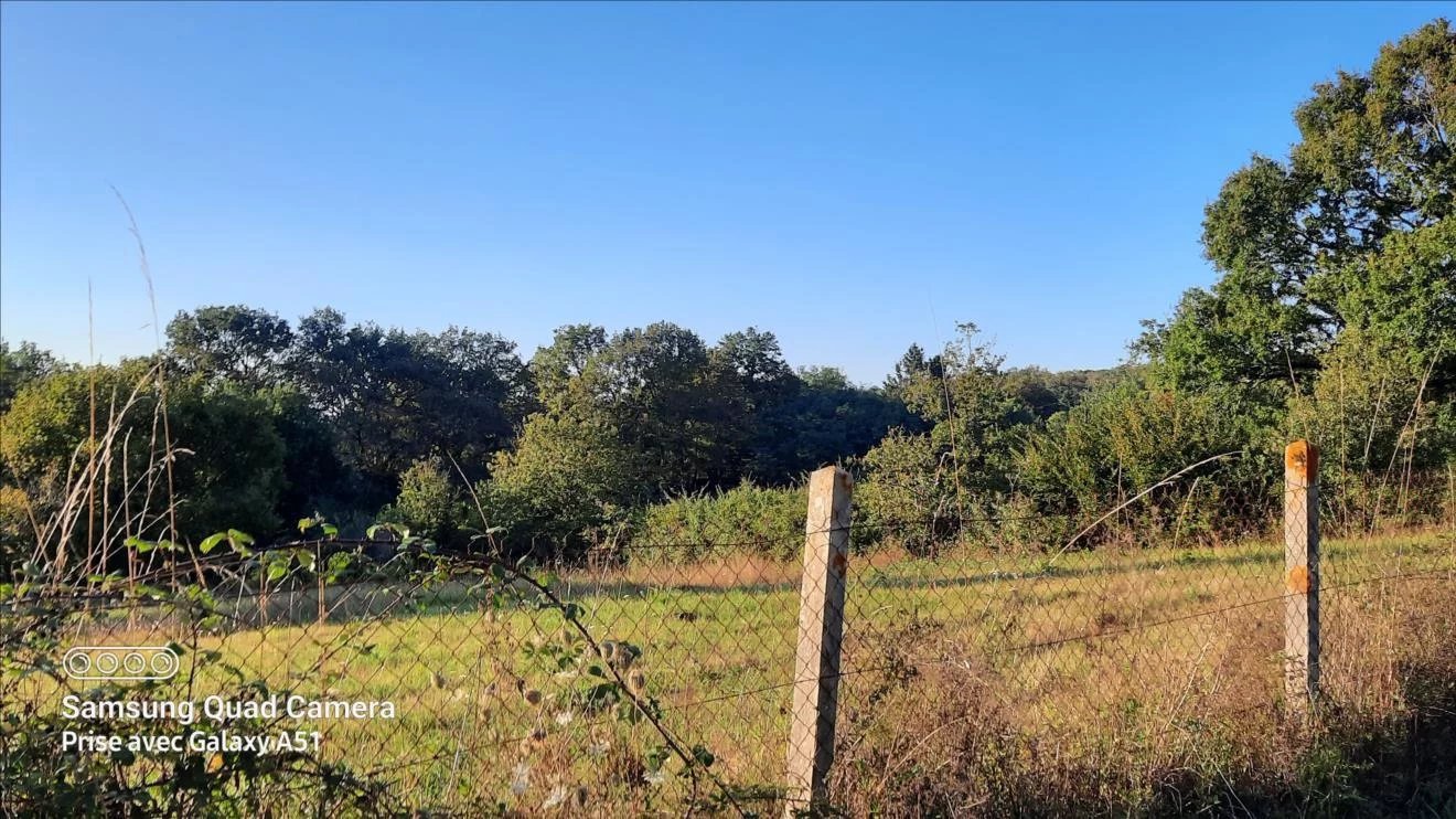 plot of land for build - Vue 2