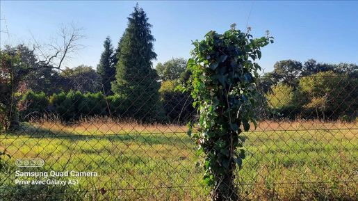 Terrain — Confolens (Charente) · 34 800 €