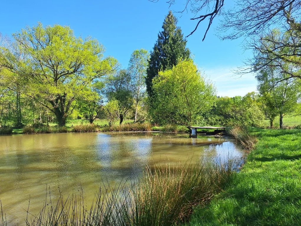 Two Lakes with 10 Acres in Northern Charente - Plus
