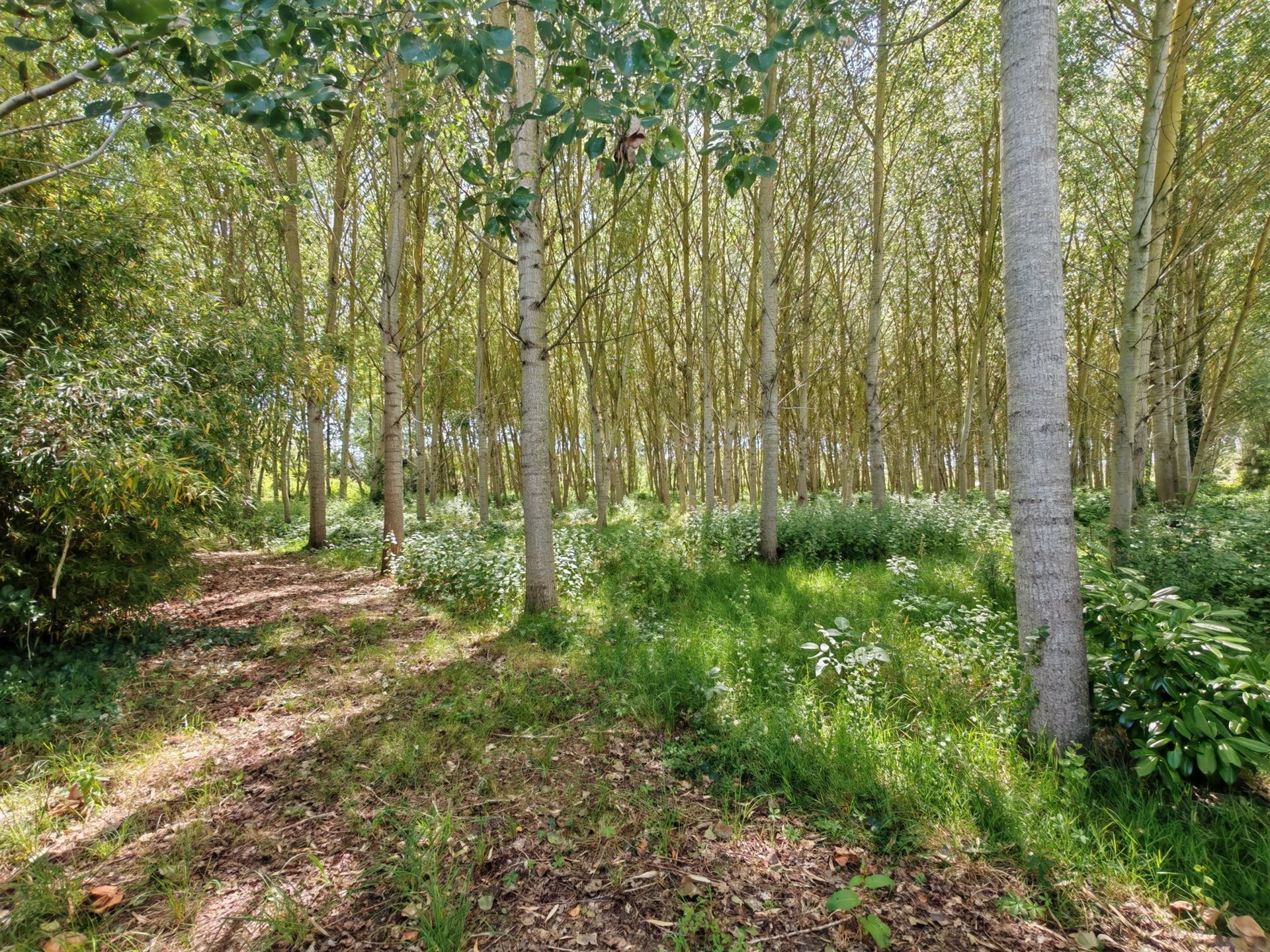Maison à vendre, 96m², Loireauxence
