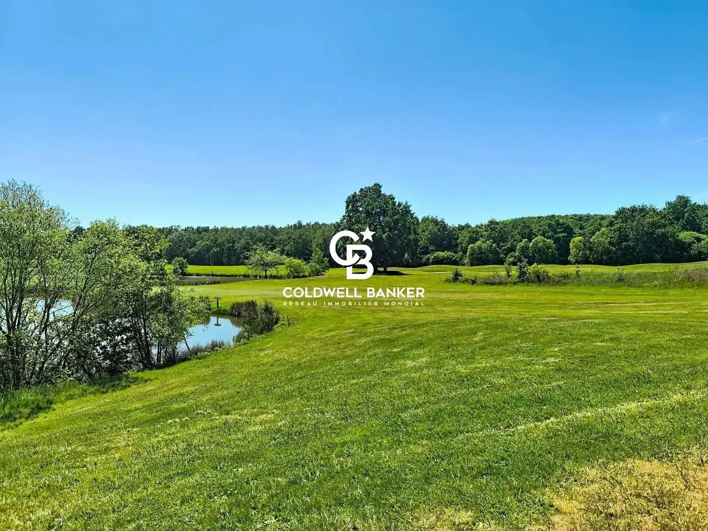 Maison à vendre, 263m², Nesmy