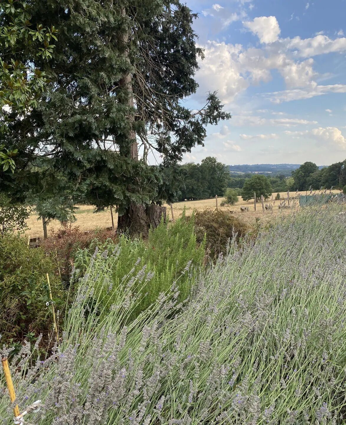 Maison à vendre, 145m², La Croisille-sur-Briance