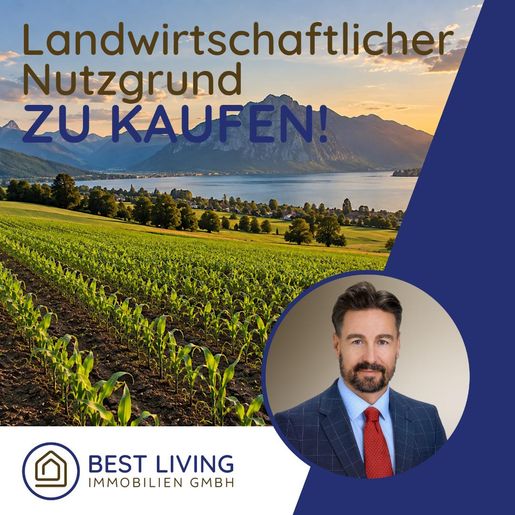 Advert pic 0