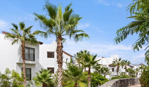 Guía de Isora (Tenerife) photo 2