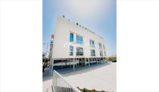 Adeje (Tenerife) photo 3