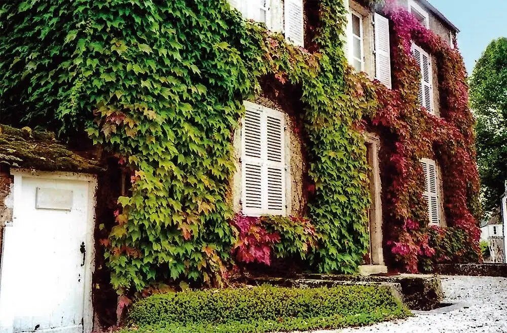 Maison à vendre, 267m², Recey-sur-Ource