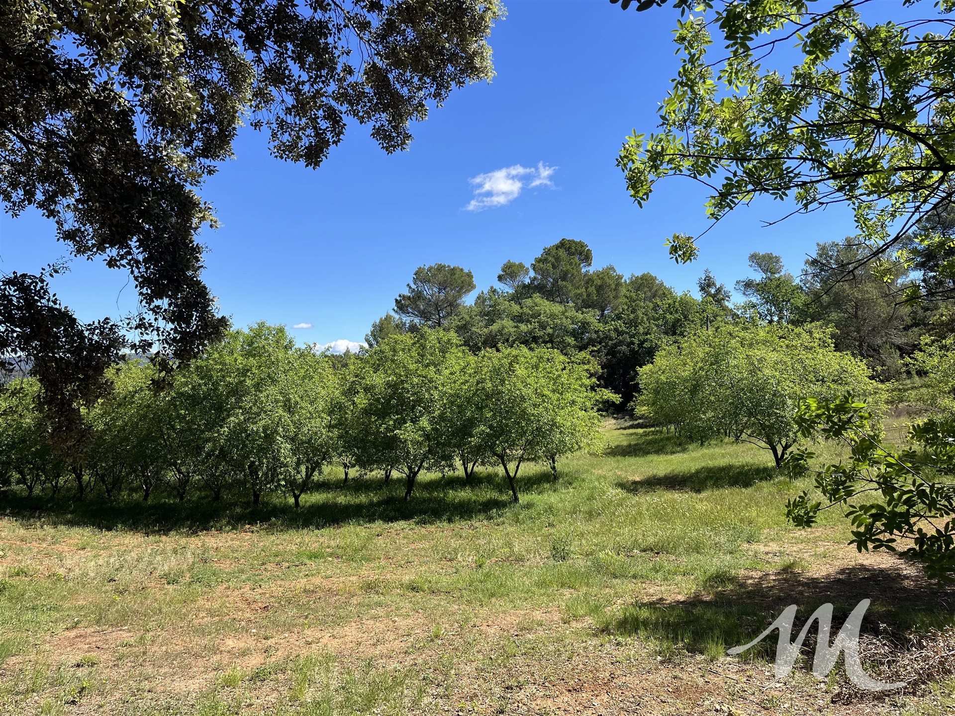 Maison à vendre, 75m², Barjols