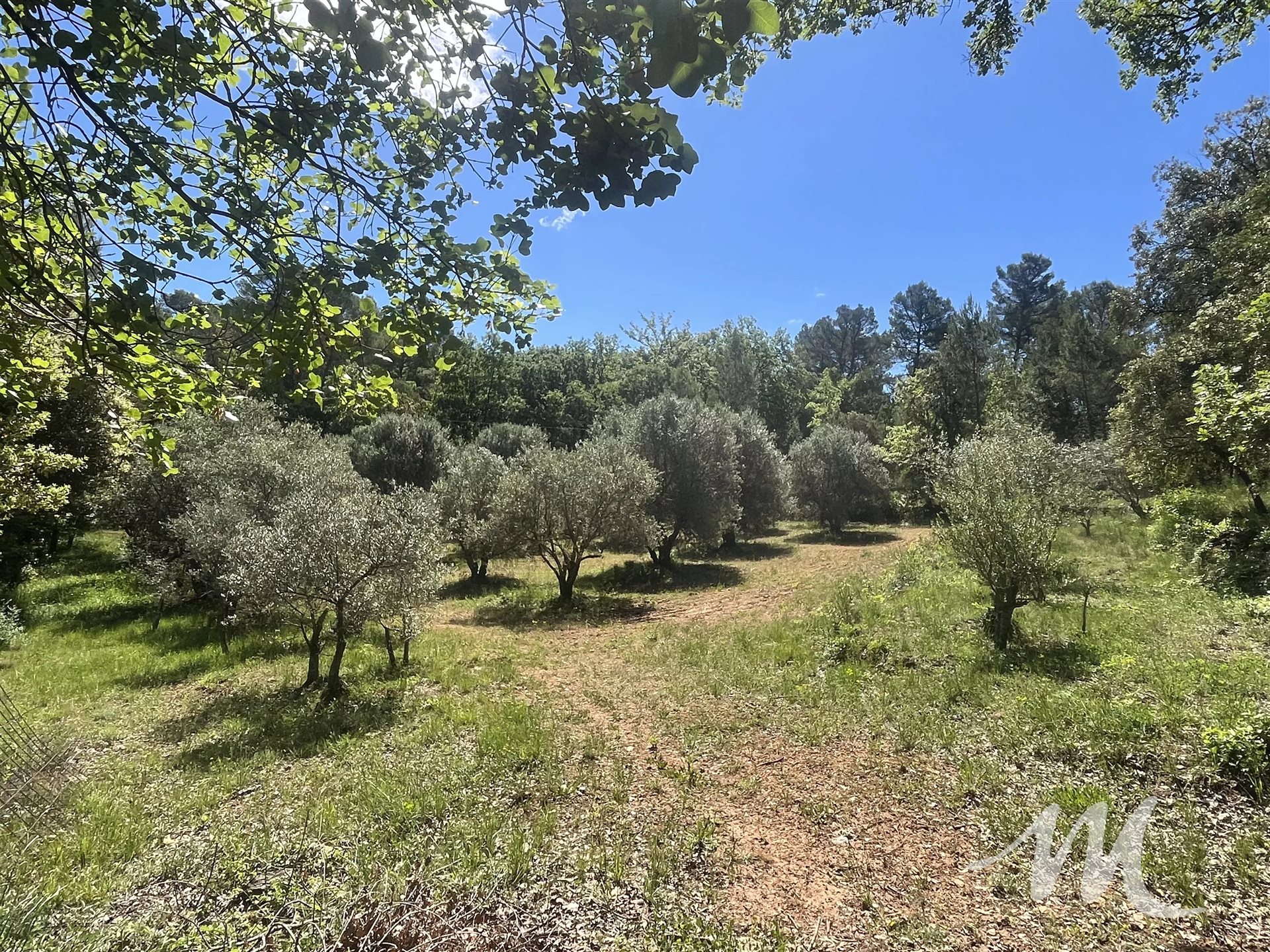 Maison à vendre, 75m², Barjols