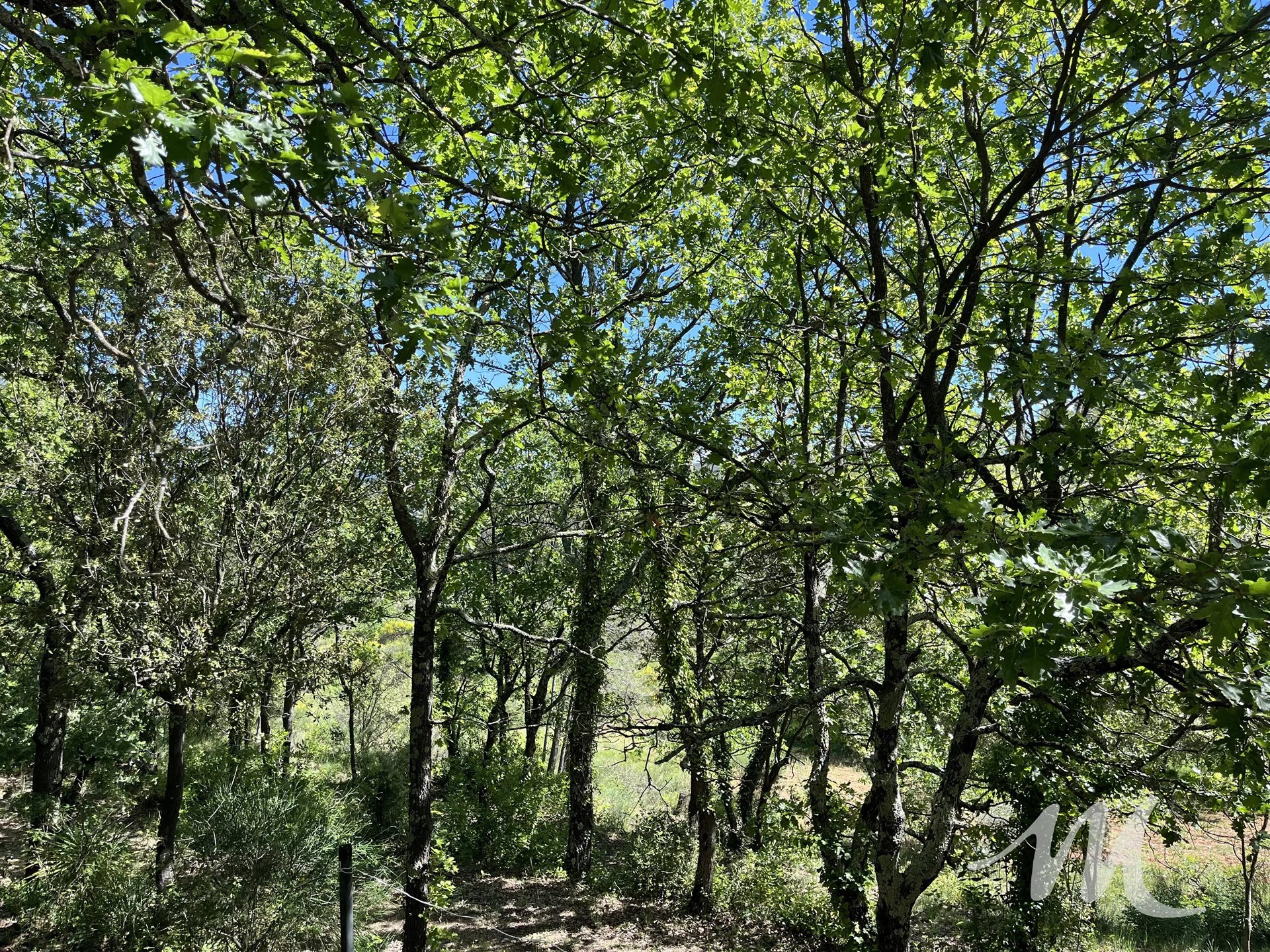 Maison à vendre, 75m², Barjols