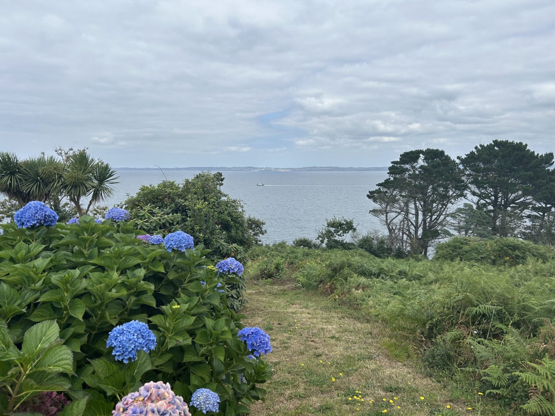 Maison à vendre, 196m², Douarnenez