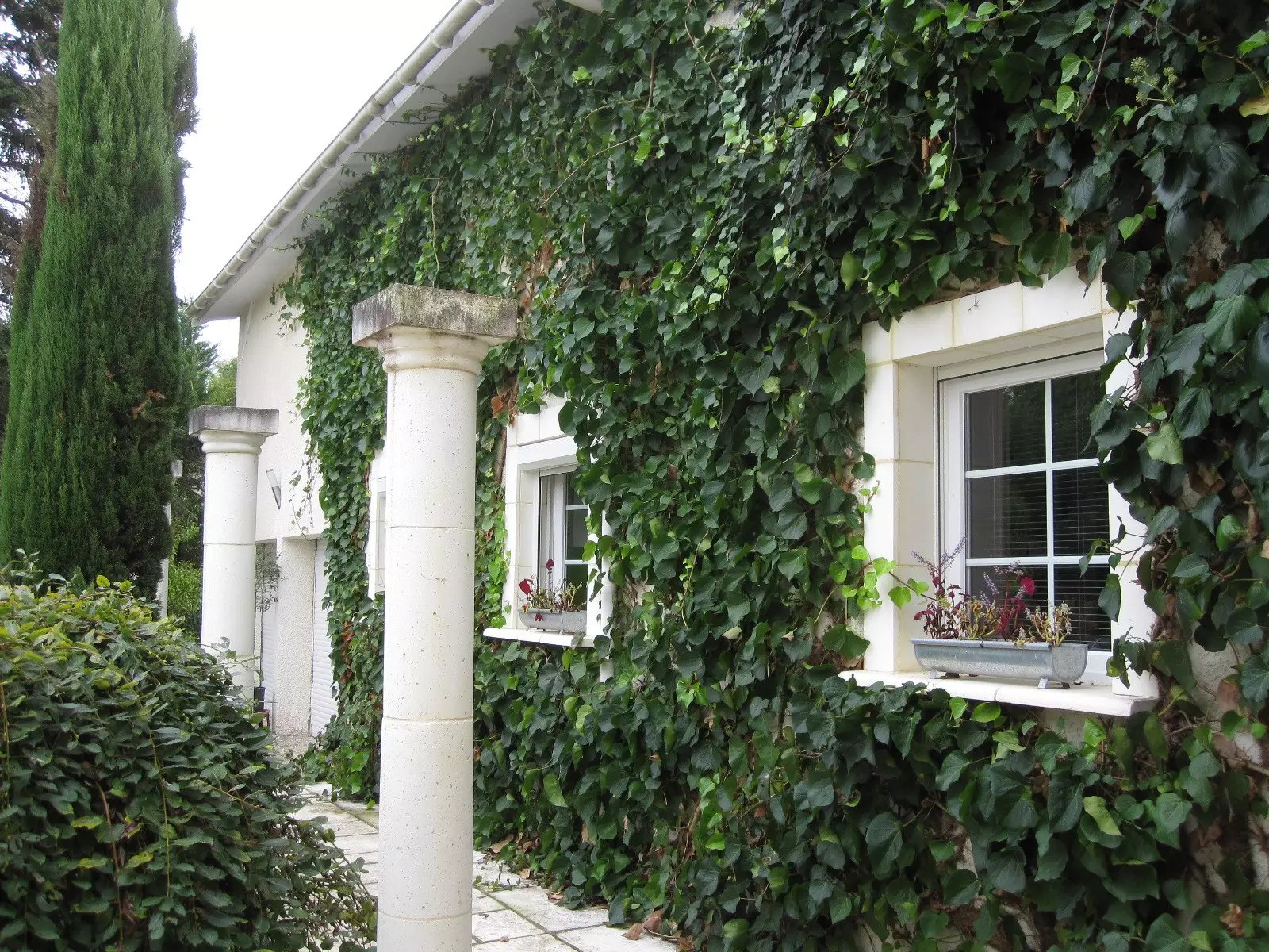 Maison à vendre, 288m², Montbartier