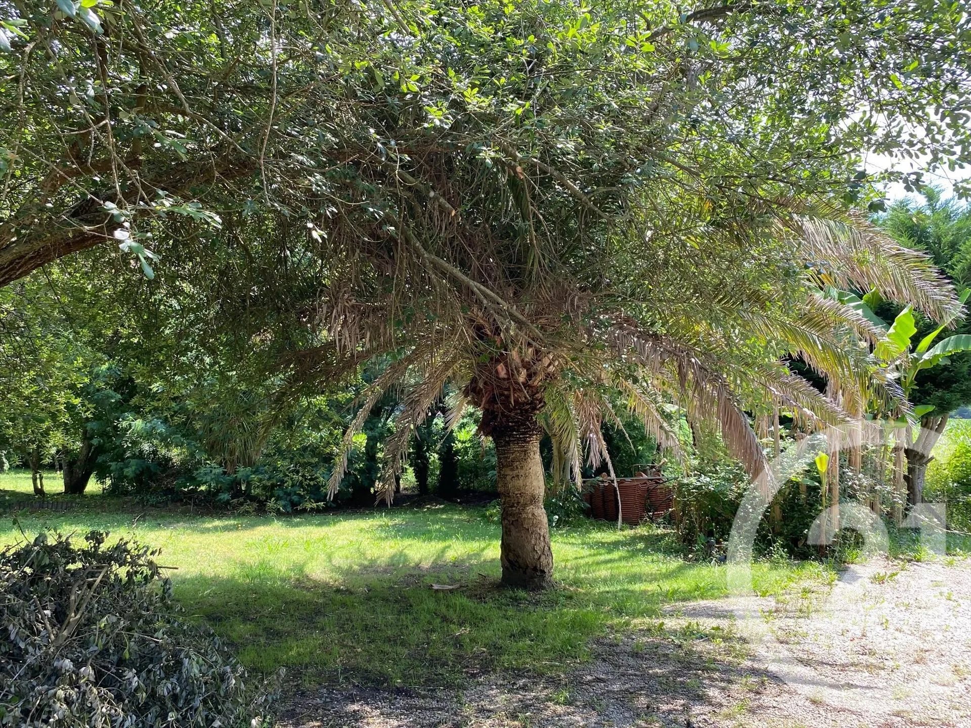 Maison à louer, 123m², Candresse