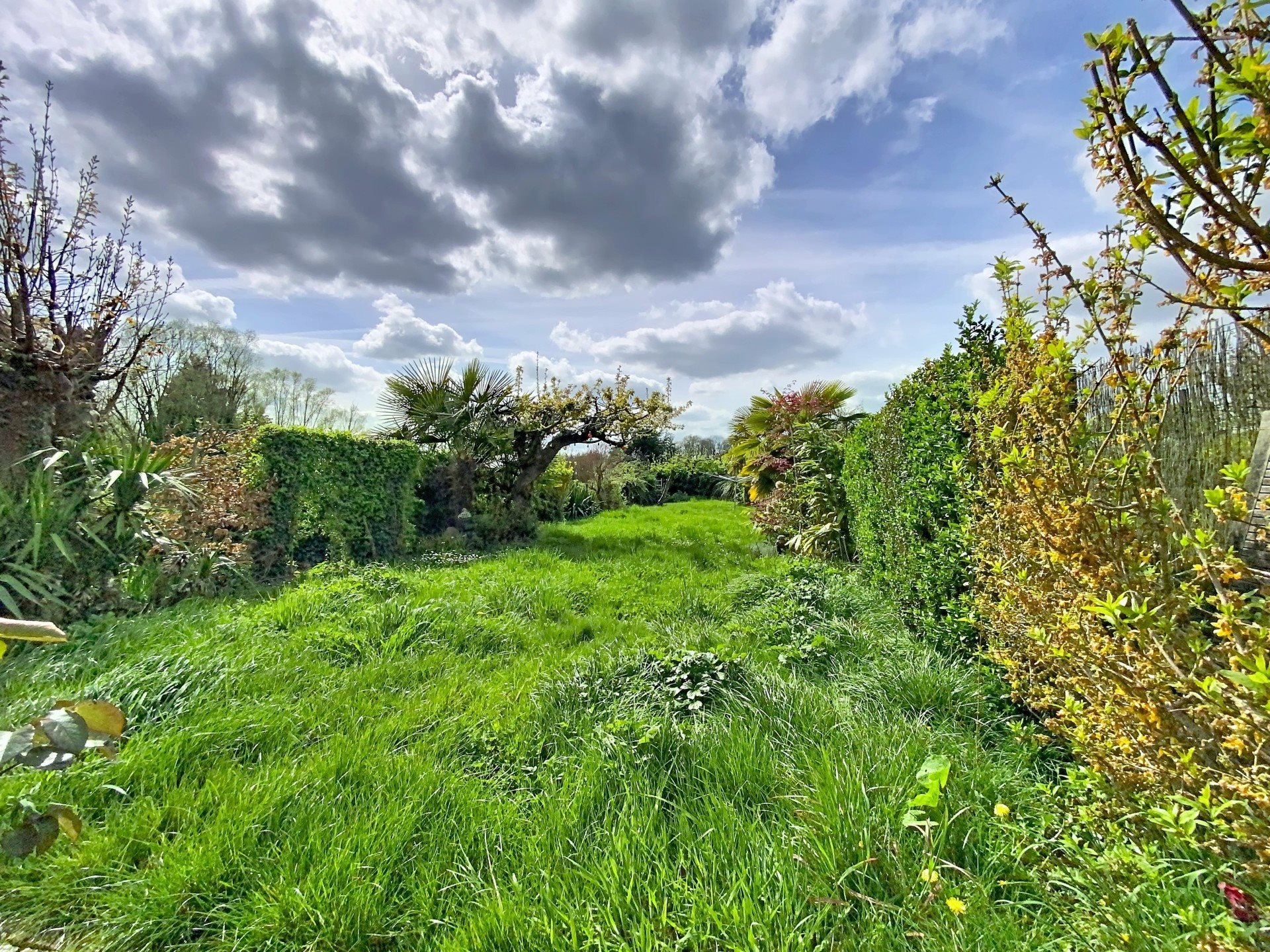 Maison à vendre, 155m², Nieppe