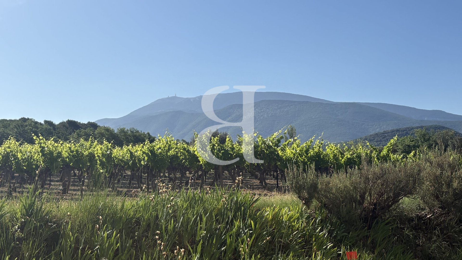 Maison à vendre, 139m², Buis-les-Baronnies