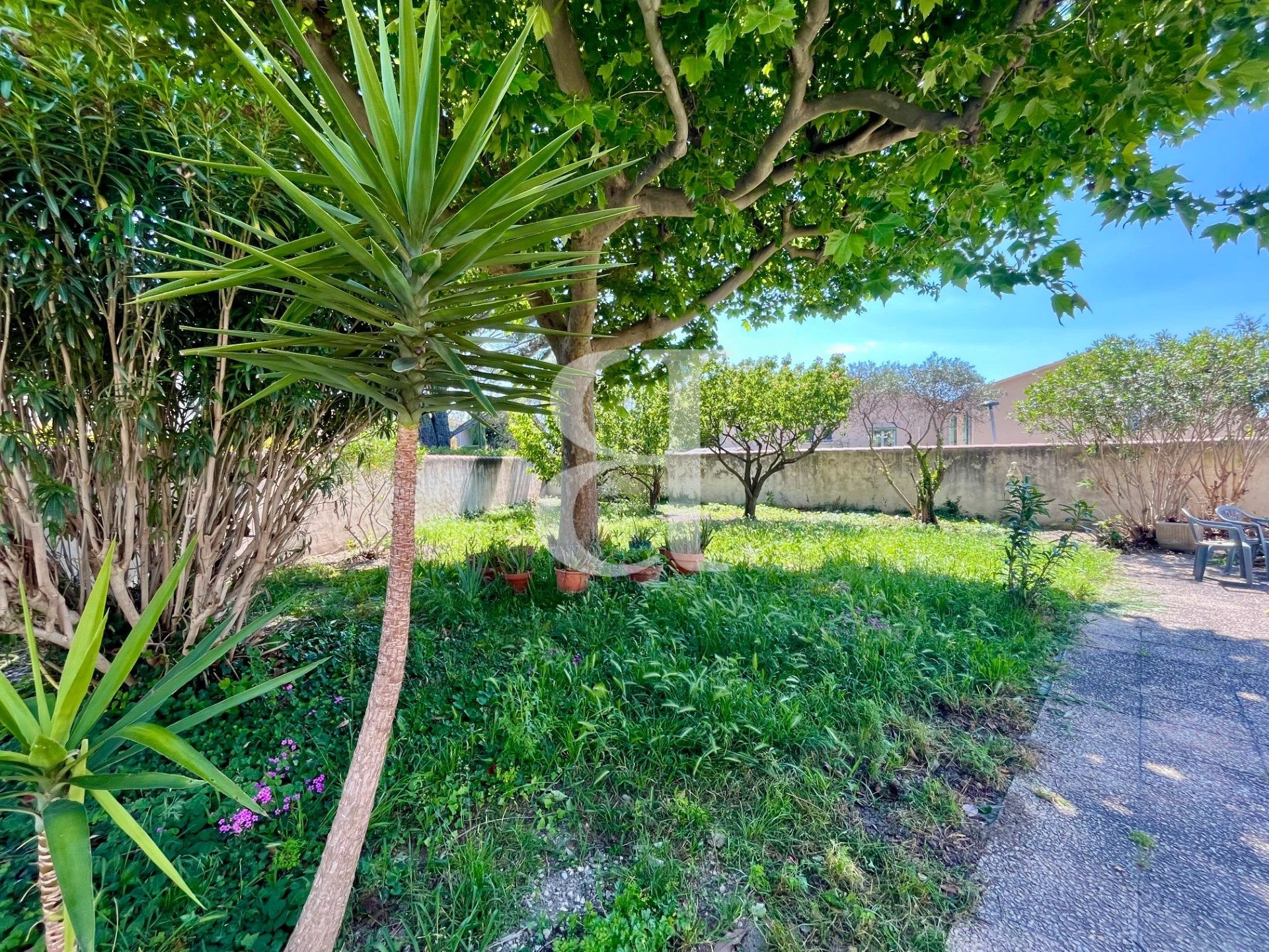 Maison à vendre, 179m², Saint-Rémy-de-Provence