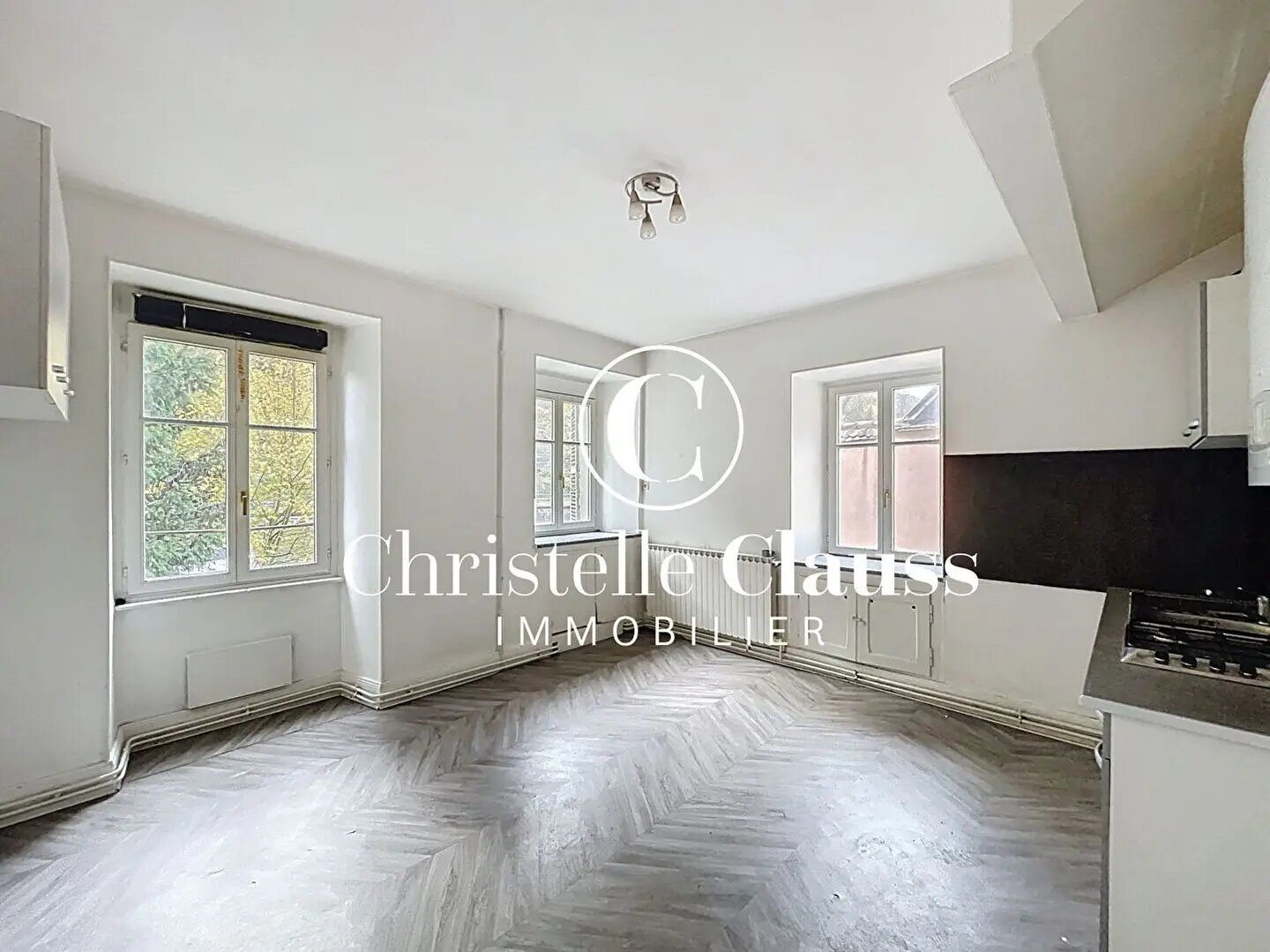 Appartement à vendre, 312m², Thann