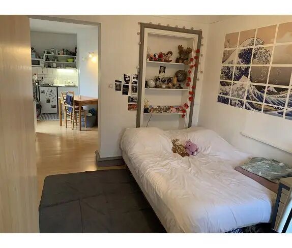 Appartement à louer, 23m², Colmar